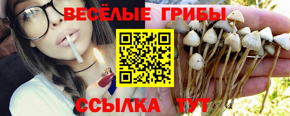 Псилоцибиновые грибы прущие грибы  Вход с VPN  цены наркотик  Аксай 